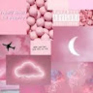 Meet your Posher, Kelliauna